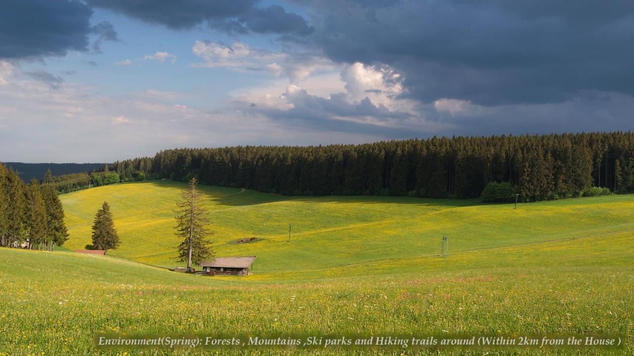 Entire House In Schwarzwald With Mountain View, Private Sauna, Gym, Garden And Terraces Unterkirnach Dış mekan fotoğraf