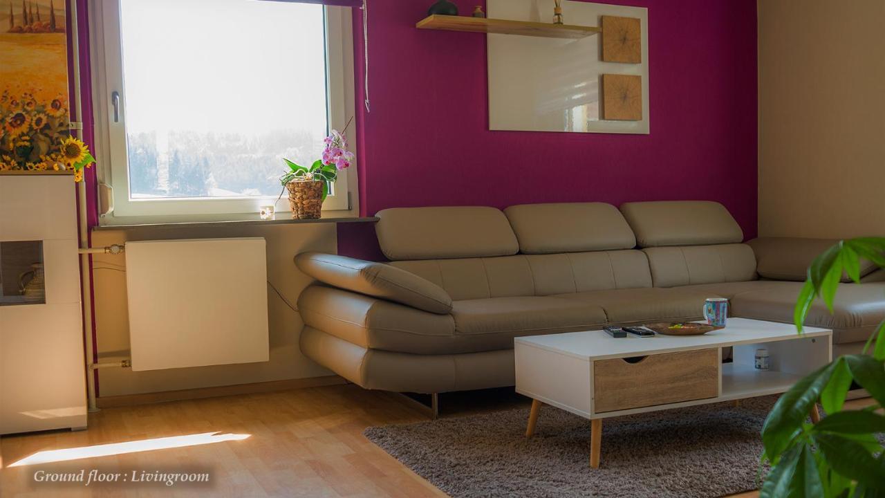 Entire House In Schwarzwald With Mountain View, Private Sauna, Gym, Garden And Terraces Unterkirnach Dış mekan fotoğraf