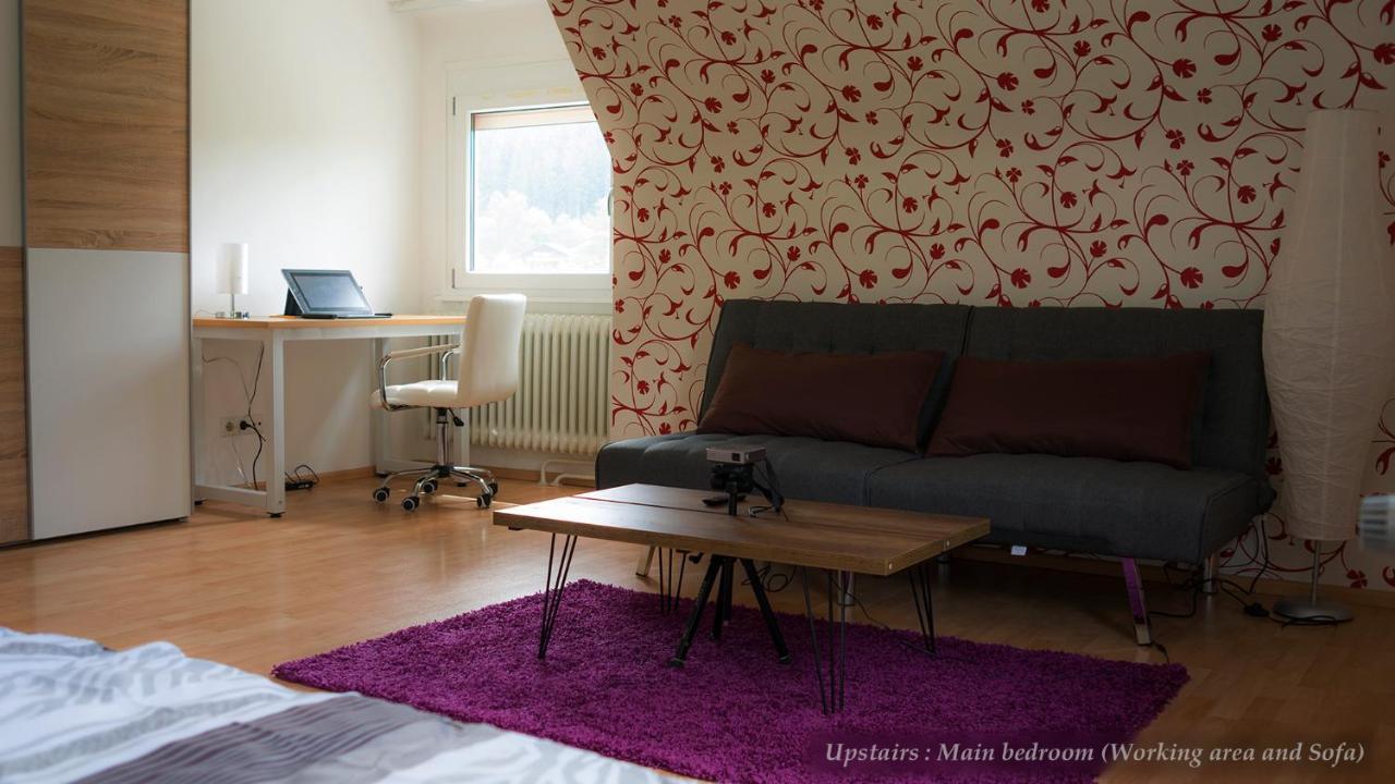 Entire House In Schwarzwald With Mountain View, Private Sauna, Gym, Garden And Terraces Unterkirnach Dış mekan fotoğraf