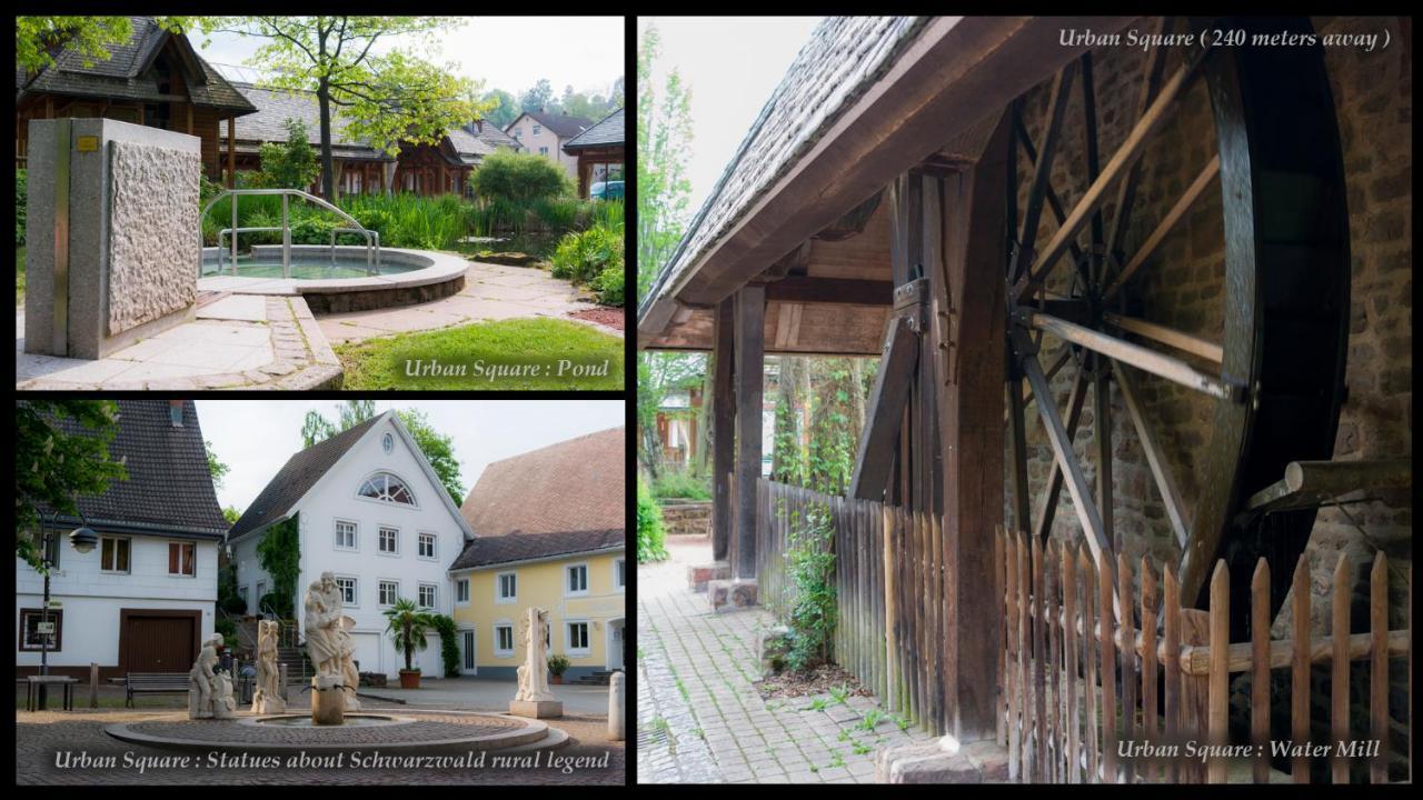Entire House In Schwarzwald With Mountain View, Private Sauna, Gym, Garden And Terraces Unterkirnach Dış mekan fotoğraf