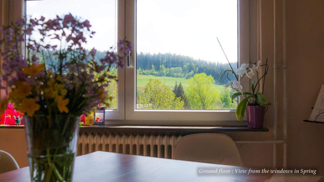 Entire House In Schwarzwald With Mountain View, Private Sauna, Gym, Garden And Terraces Unterkirnach Dış mekan fotoğraf